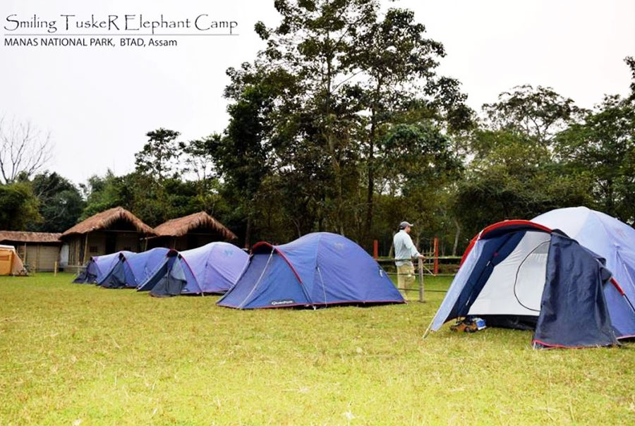 Camping in Smiling Tusker