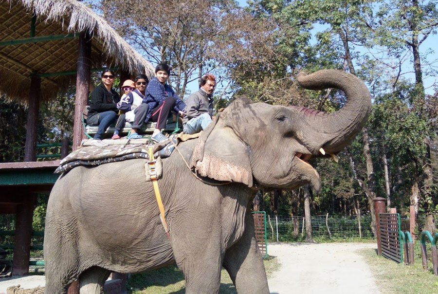 Elephant Safari in Smiling Tusker