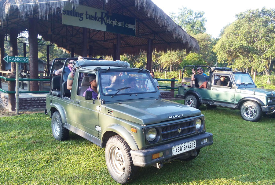 Jeep Safari in Smiling Tusker