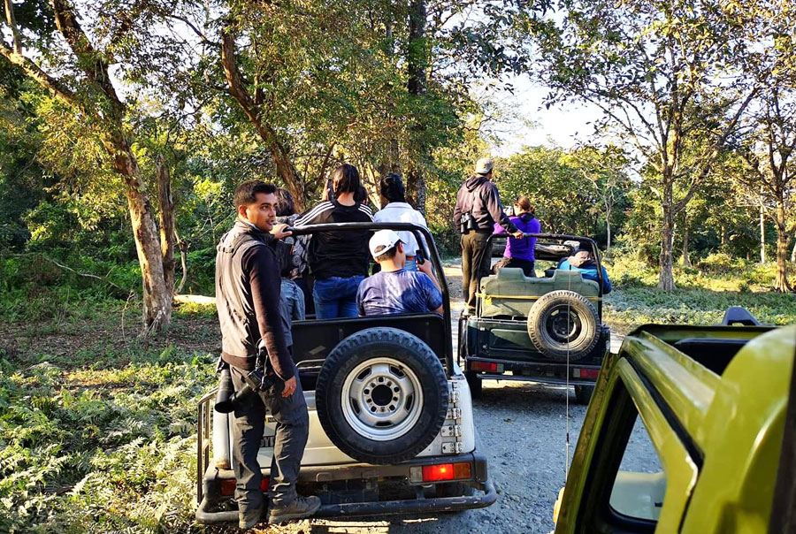 Jeep Safari in Smiling Tusker