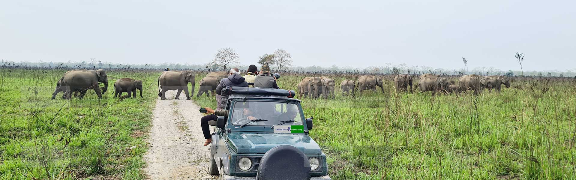 Jeep Safari in Smiling Tusker Elephant Camp